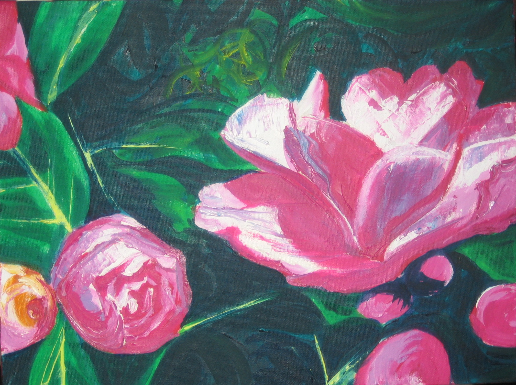 Peonies 1